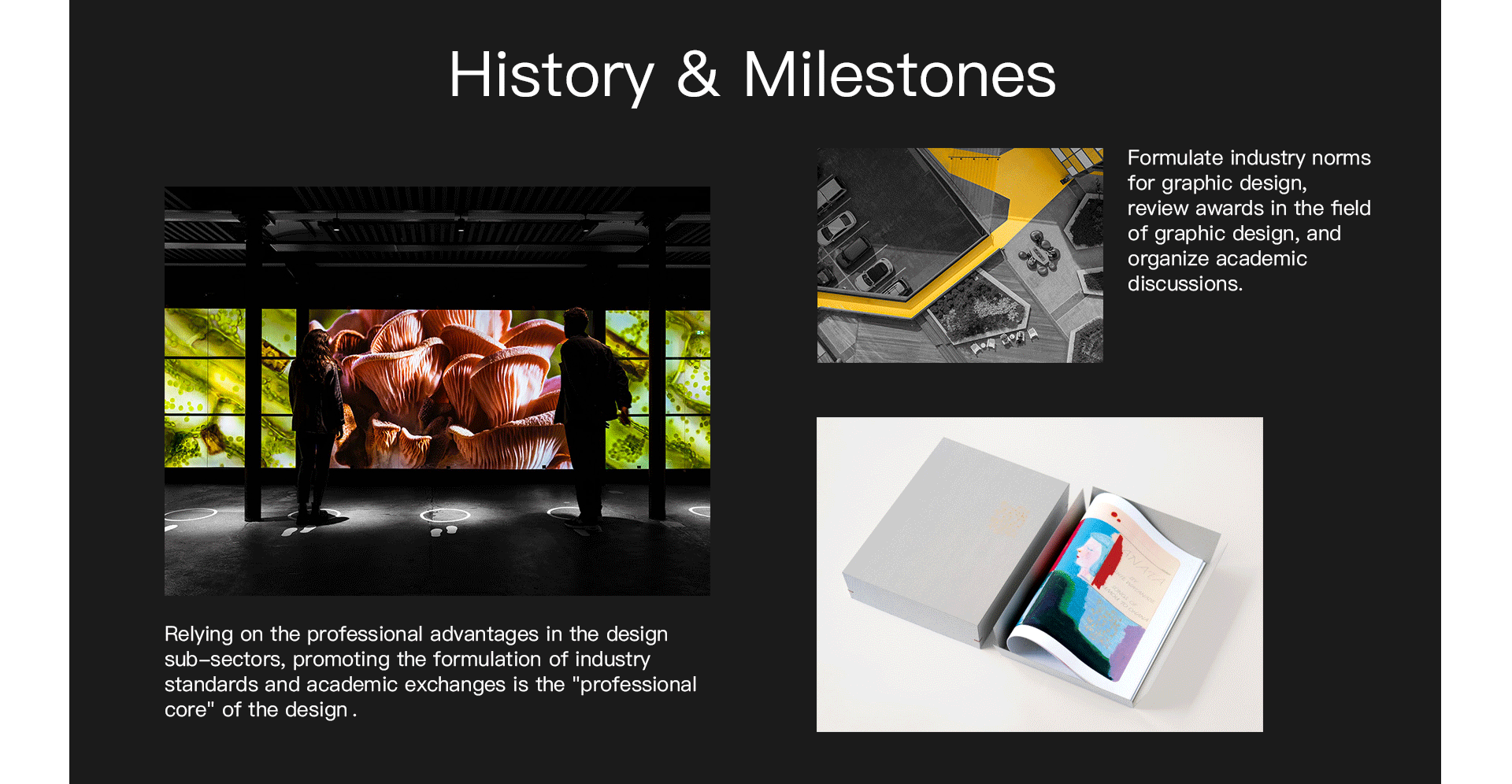 About IntVAA section 6